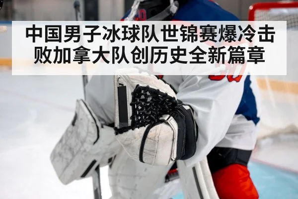 hockey goalie save