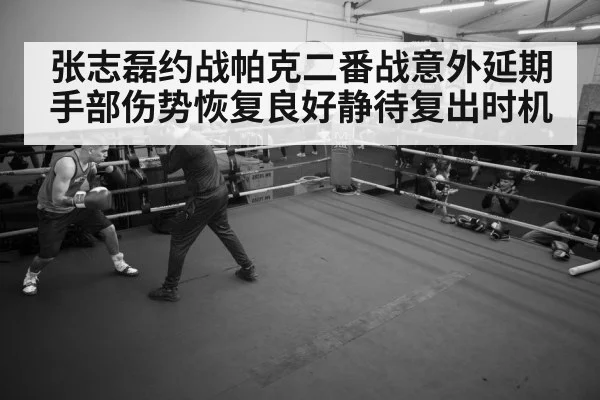 张志磊约战帕克二番战意外延期 手部伤势恢复良好静待复出时机