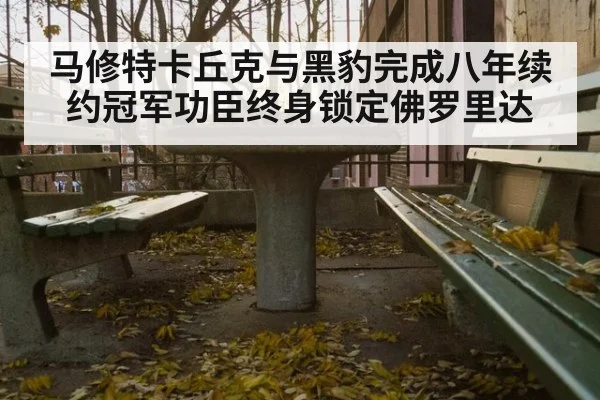 马修特卡丘克与黑豹完成八年续约冠军功臣终身锁定佛罗里达